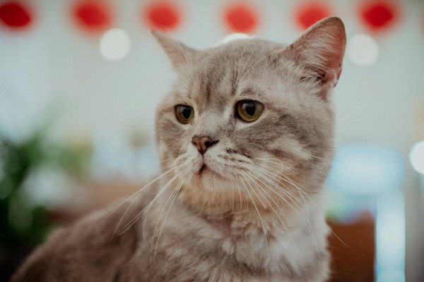 What Innovations in Health Technology Are Emerging in the UK?